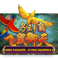 Bird Paradise