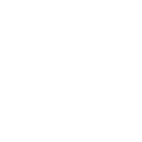 BTI Sport