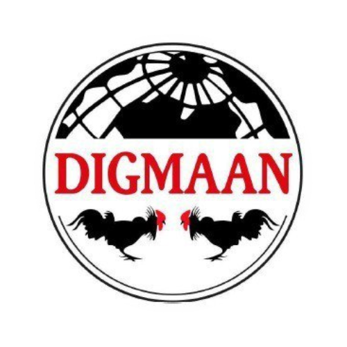 Digmaan