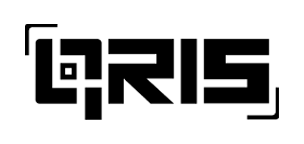 Payment 2